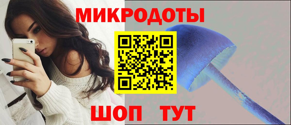 купить наркоту  Вход с VPN  Псилоцибиновые грибы мухоморы  Шуя  Галлюциногенные грибы MAGIC MUSHROOMS 
